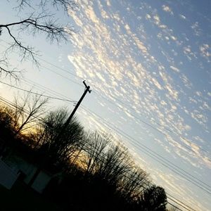 Meet your Posher, Michayla